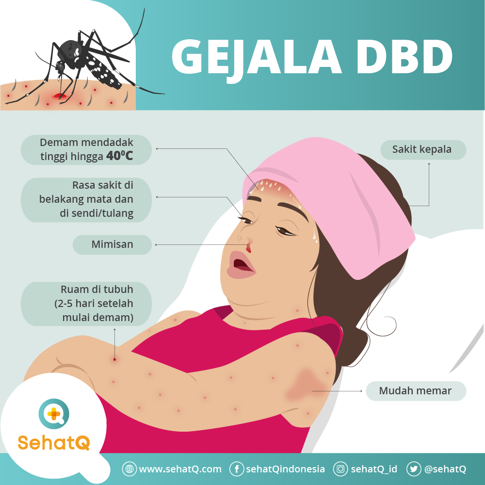 Jasa Pembasmi Nyamuk Terpercaya