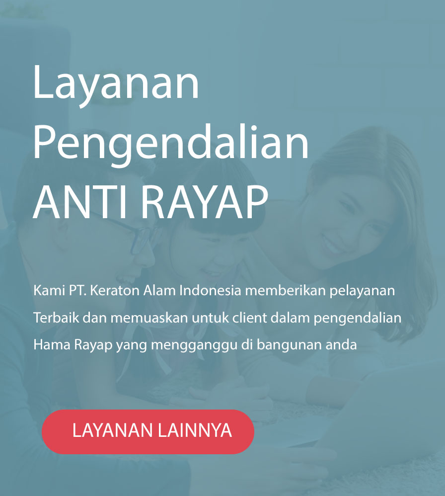 Pembasmi Kecoa​