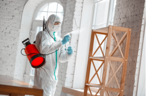 Pest control atau pengendalian hama adalah praktik untuk mengurangi atau menghilangkan populasi hama yang merusak tanaman, hewan, bahan makanan, atau kesehatan manusia.