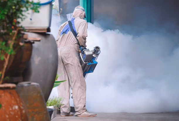 Nyamuk mengganggu keluarga karena membawa wabah penyakit. Perlu diatasi dengan cara jaga kebersihan dan fogging nyamuk berpengalaman pergi dari lingkungan