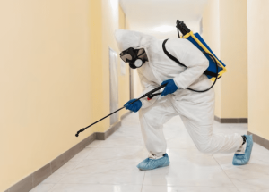 jasa pest control di jakarta