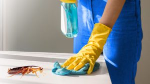 Pentingnya Integrasi Jasa Cleaning Service dengan Jasa Pest Control